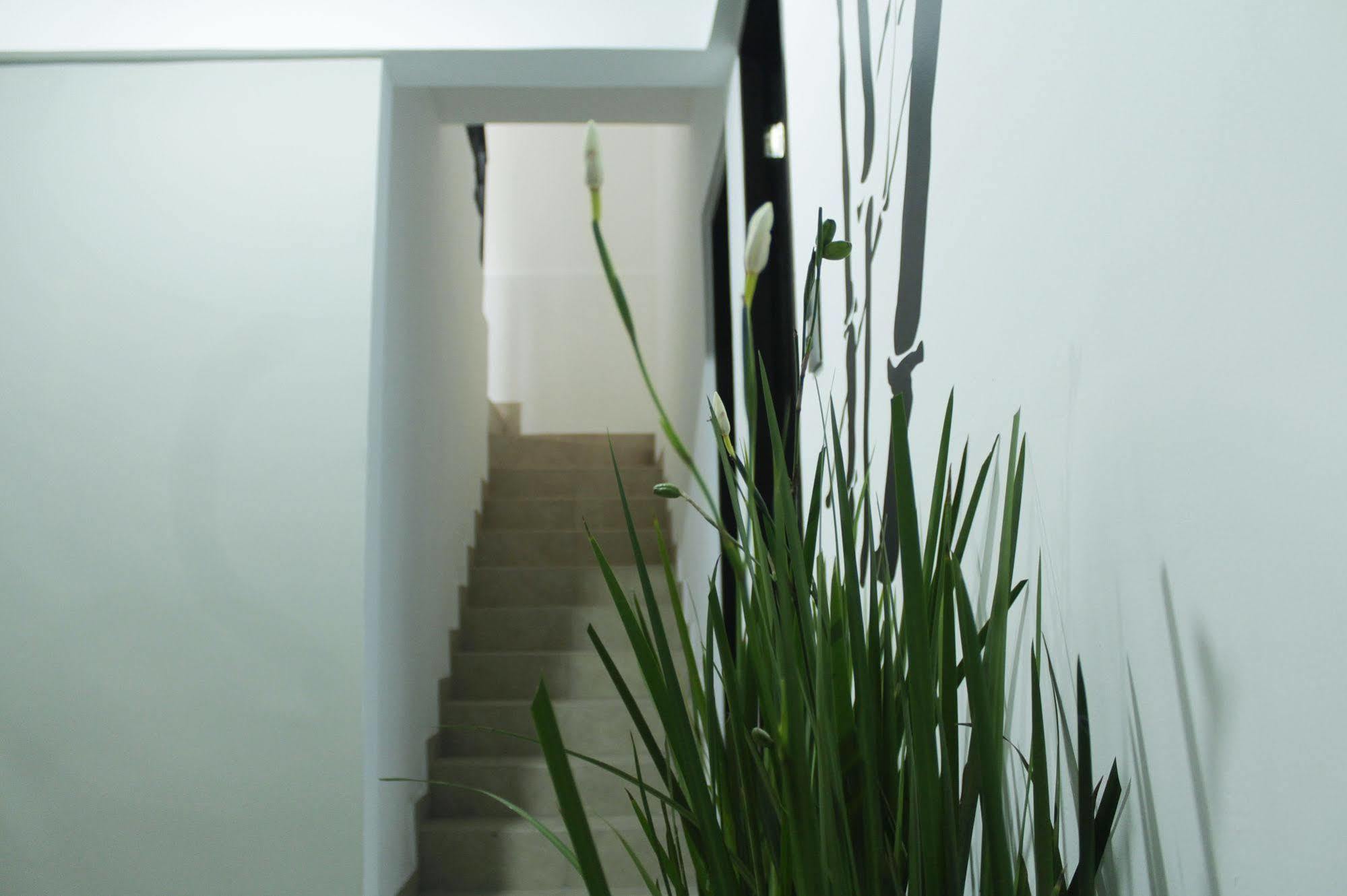 Hostal Be Condesa 멕시코 시 외부 사진
